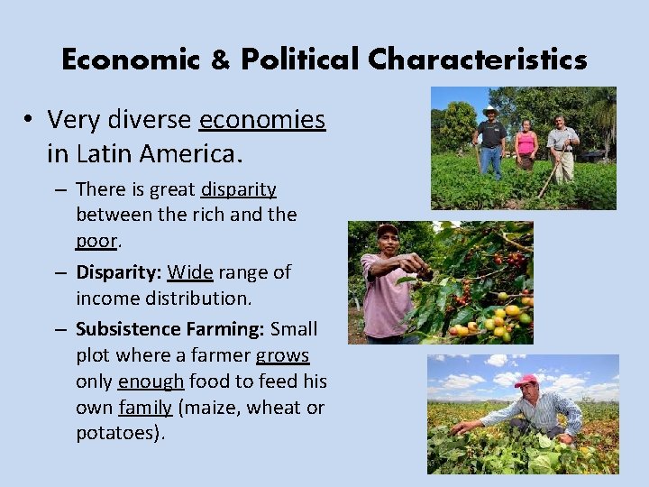 Economic & Political Characteristics • Very diverse economies in Latin America. – There is