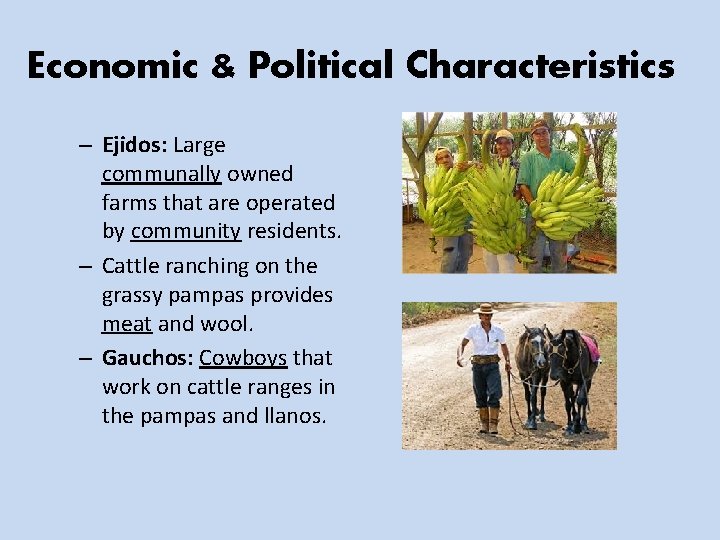 Economic & Political Characteristics – Ejidos: Large communally owned farms that are operated by
