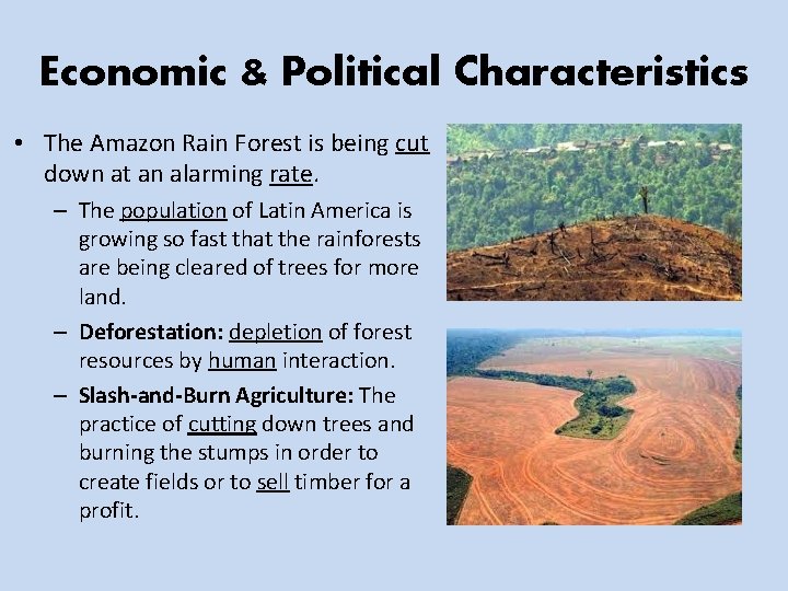 Economic & Political Characteristics • The Amazon Rain Forest is being cut down at