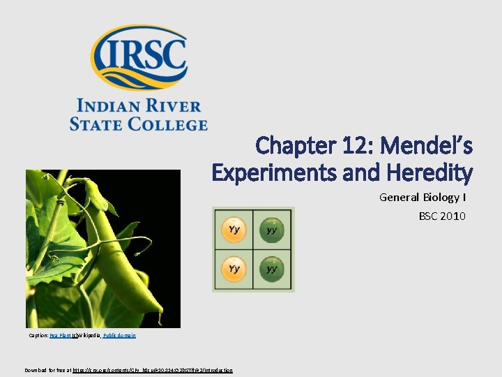 Chapter 12: Mendel’s Experiments and Heredity General Biology I BSC 2010 Caption: Pea Plant