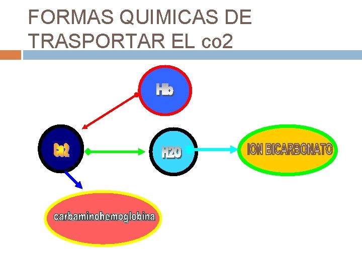 FORMAS QUIMICAS DE TRASPORTAR EL co 2 FORMAS QUIMICAS DE TRASPORTAR EL co 2