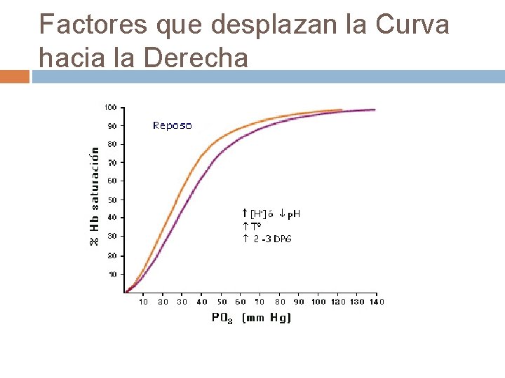 Factores que desplazan la Curva hacia la Derecha Factores que desplazan la Curva hacia la Derecha