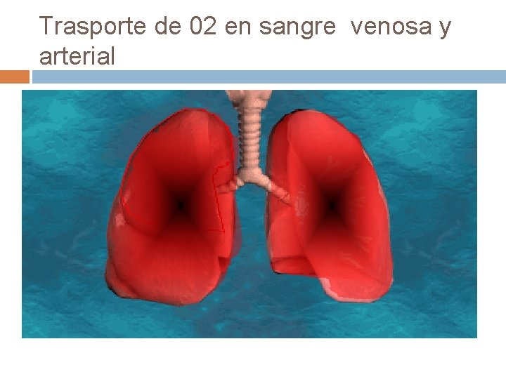 Trasporte de 02 en sangre venosa y arterial Trasporte de 02 en sangre venosa y arterial