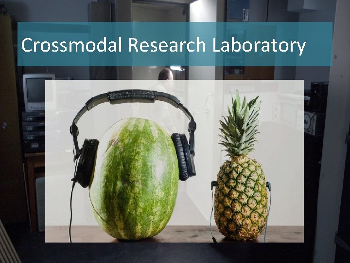 Crossmodal Research Laboratory 