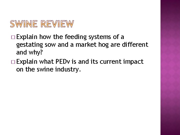 � Explain how the feeding systems of a gestating sow and a market hog