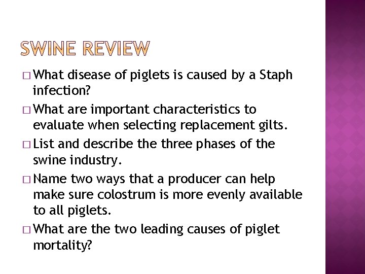 � What disease of piglets is caused by a Staph infection? � What are