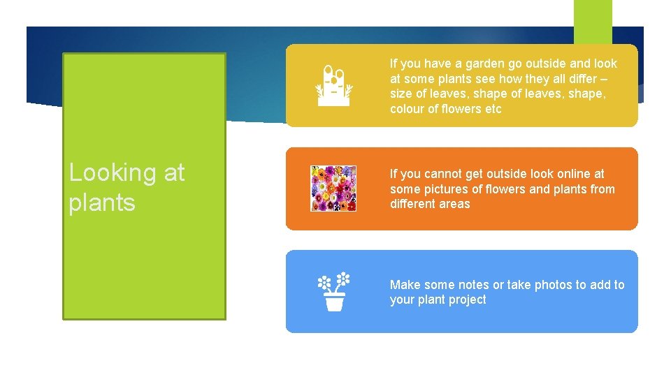 If you have a garden go outside and look at some plants see how