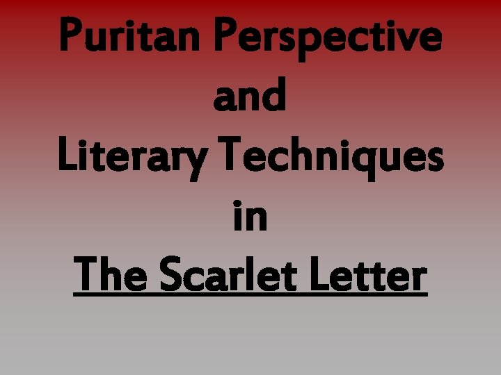 Puritan Perspective and Literary Techniques in The Scarlet Letter 