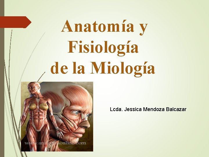 Anatomía y Fisiología de la Miología Lcda. Jessica Mendoza Balcazar 