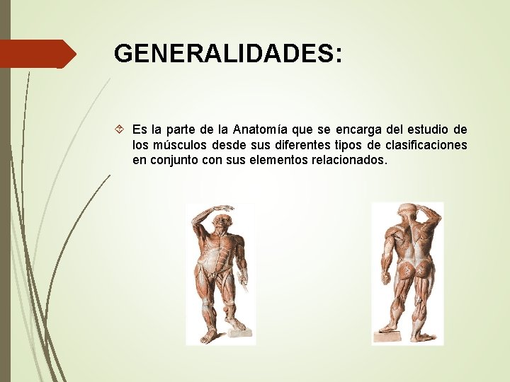 GENERALIDADES: Es la parte de la Anatomía que se encarga del estudio de los