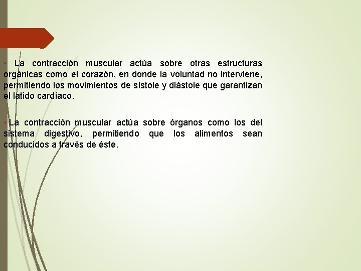  • La contracción muscular actúa sobre otras estructuras orgánicas como el corazón, en