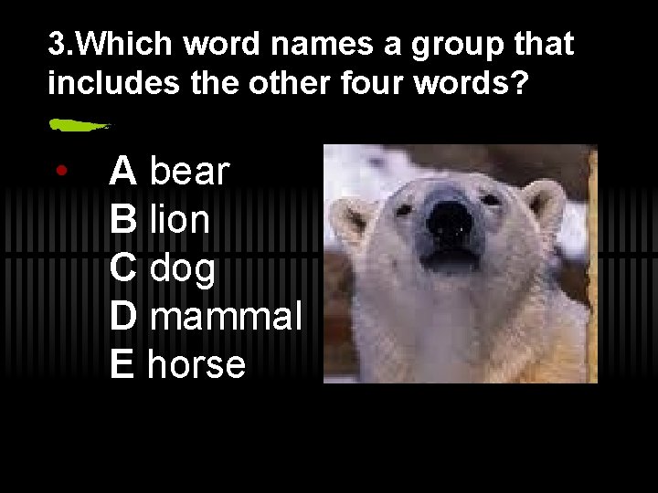 3. Which word names a group that includes the other four words? • A