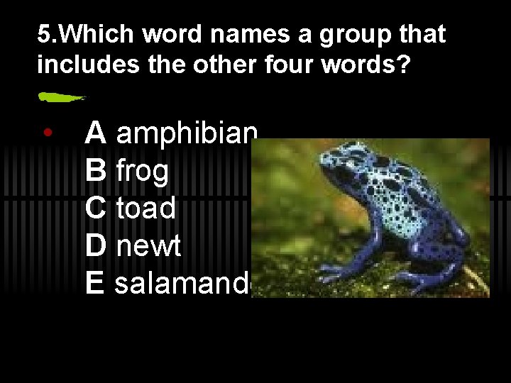 5. Which word names a group that includes the other four words? • A