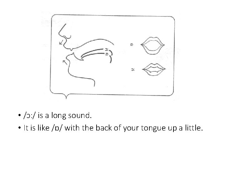  • /ɔ: / is a long sound. • It is like /ɒ/ with