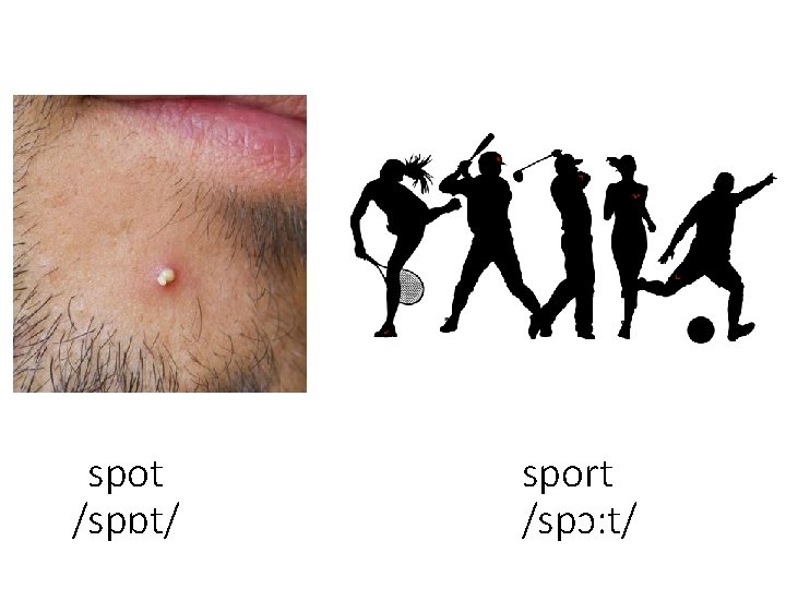 spot /spɒt/ sport /spɔ: t/ 