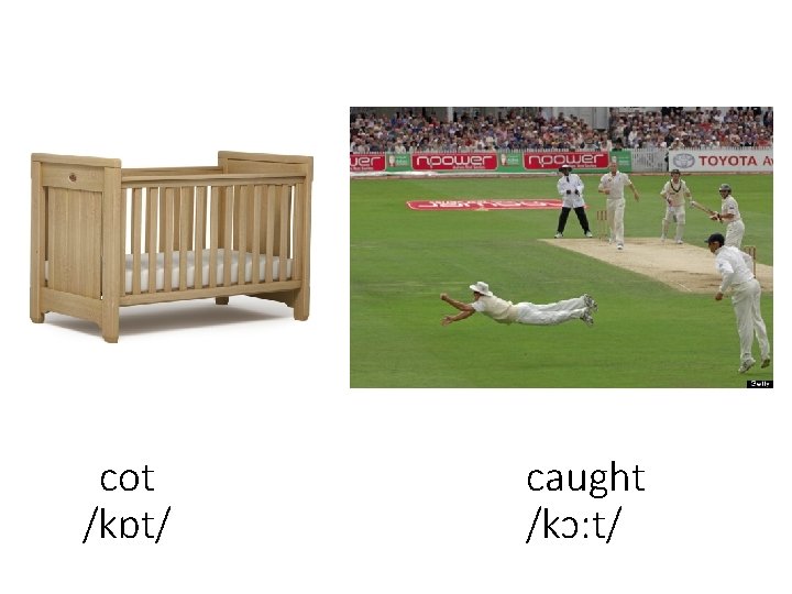 cot /kɒt/ caught /kɔ: t/ 