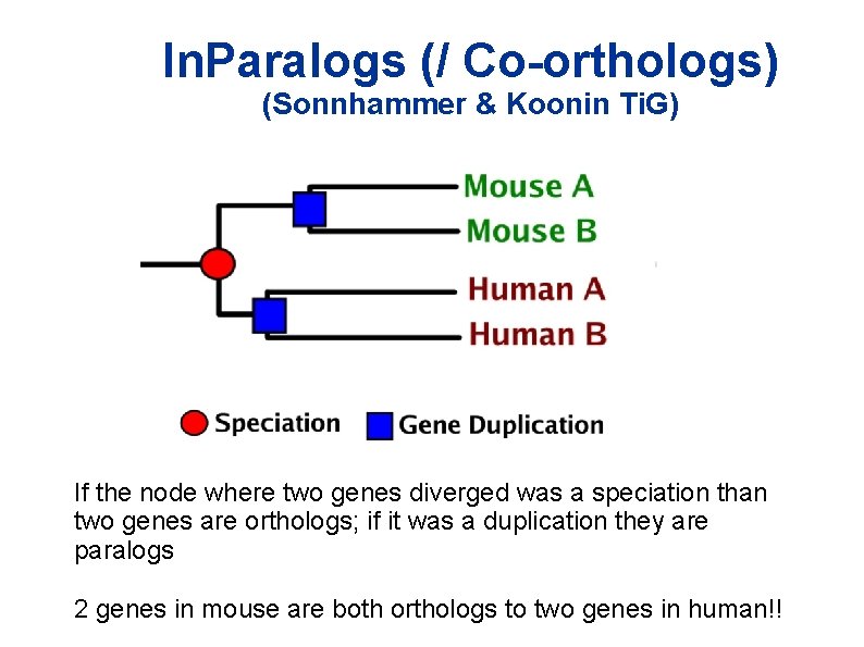 In. Paralogs (/ Co-orthologs) (Sonnhammer & Koonin Ti. G) If the node where two In. Paralogs (/ Co-orthologs) (Sonnhammer & Koonin Ti. G) If the node where two