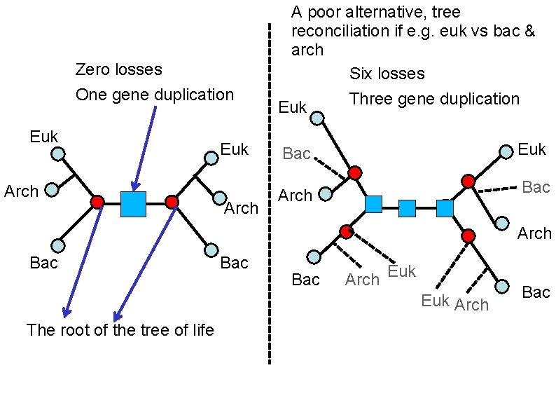 A poor alternative, tree reconciliation if e. g. euk vs bac & arch Six A poor alternative, tree reconciliation if e. g. euk vs bac & arch Six