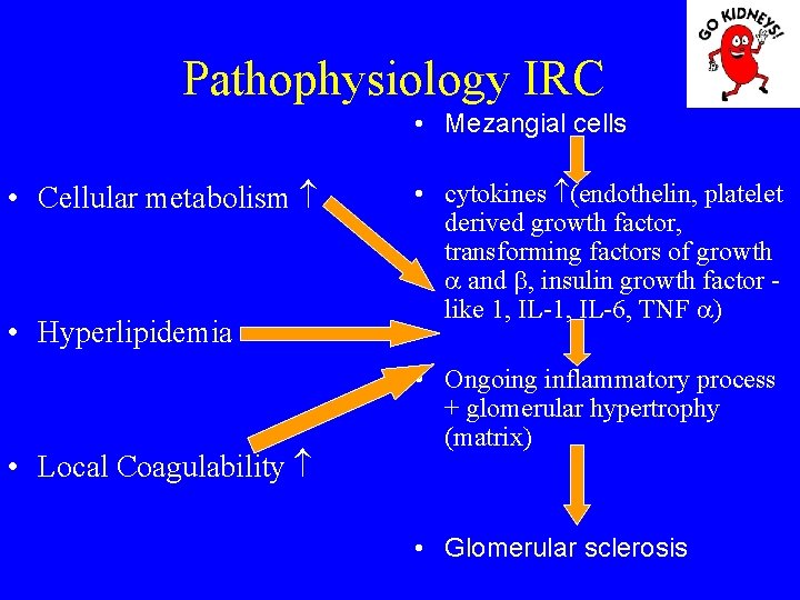 Pathophysiology IRC • Mezangial cells • Cellular metabolism • Hyperlipidemia • Local Coagulability •