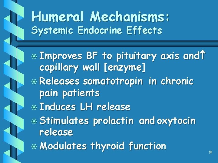 Humeral Mechanisms: Systemic Endocrine Effects b Improves BF to pituitary axis and capillary wall