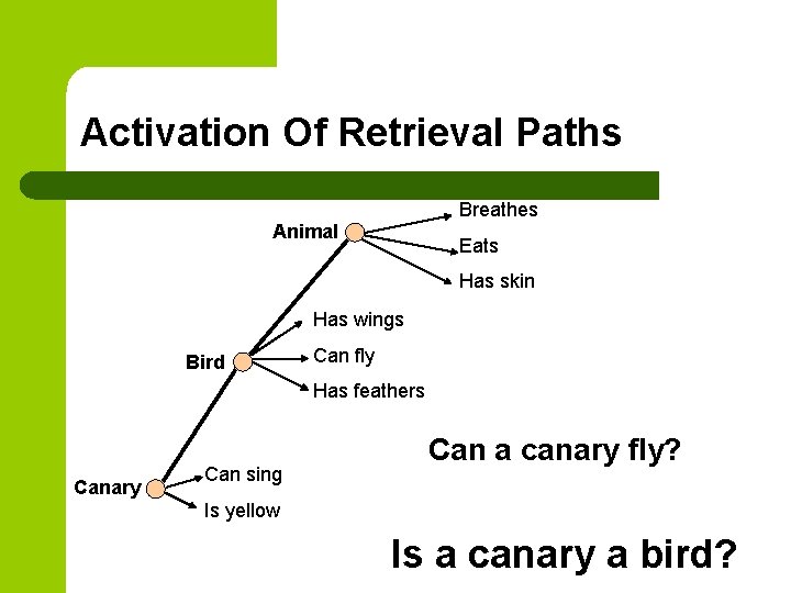 Activation Of Retrieval Paths Breathes Animal Eats Has skin Has wings Bird Can fly