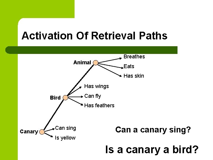 Activation Of Retrieval Paths Breathes Animal Eats Has skin Has wings Bird Can fly