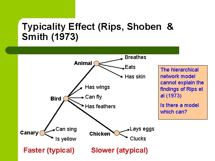 Typicality Effect (Rips, Shoben & Smith (1973) Breathes Animal Eats Has skin Has wings