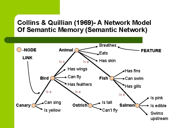 Collins & Quillian (1969)- A Network Model Of Semantic Memory (Semantic Network) Breathes -NODE