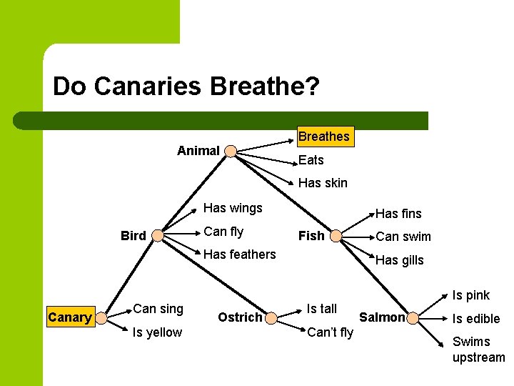 Do Canaries Breathe? Breathes Animal Eats Has skin Has wings Bird Can fly Has