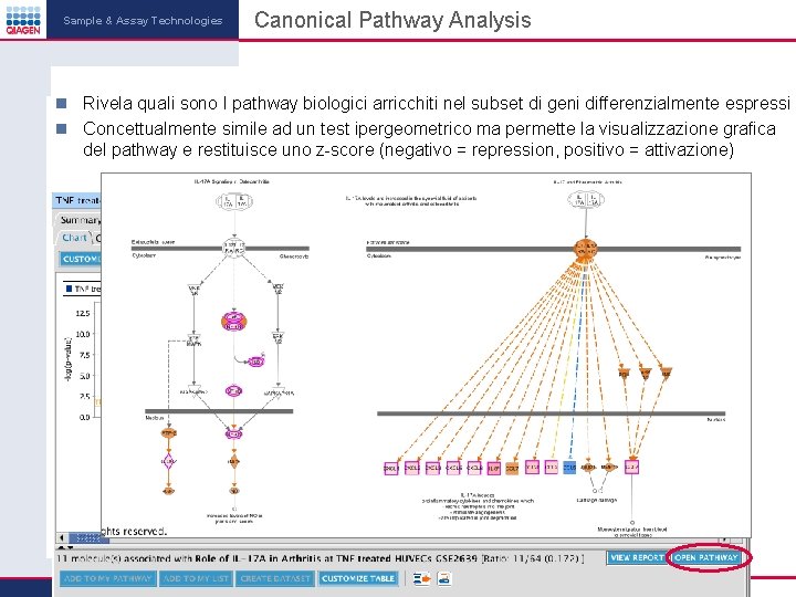 Sample & Assay Technologies Canonical Pathway Analysis Rivela quali sono I pathway biologici arricchiti Sample & Assay Technologies Canonical Pathway Analysis Rivela quali sono I pathway biologici arricchiti