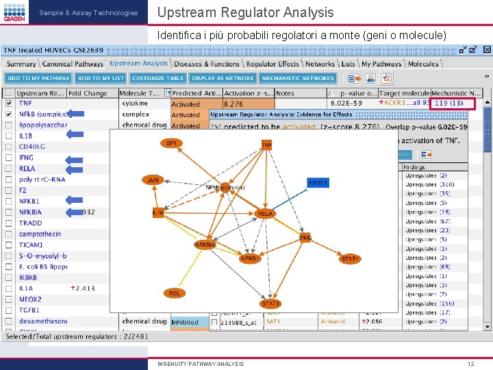 Sample & Assay Technologies Upstream Regulator Analysis Identifica i più probabili regolatori a monte Sample & Assay Technologies Upstream Regulator Analysis Identifica i più probabili regolatori a monte