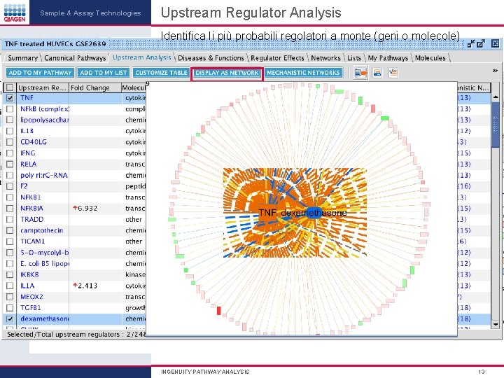 Sample & Assay Technologies Upstream Regulator Analysis Identifica Ii più probabili regolatori a monte Sample & Assay Technologies Upstream Regulator Analysis Identifica Ii più probabili regolatori a monte