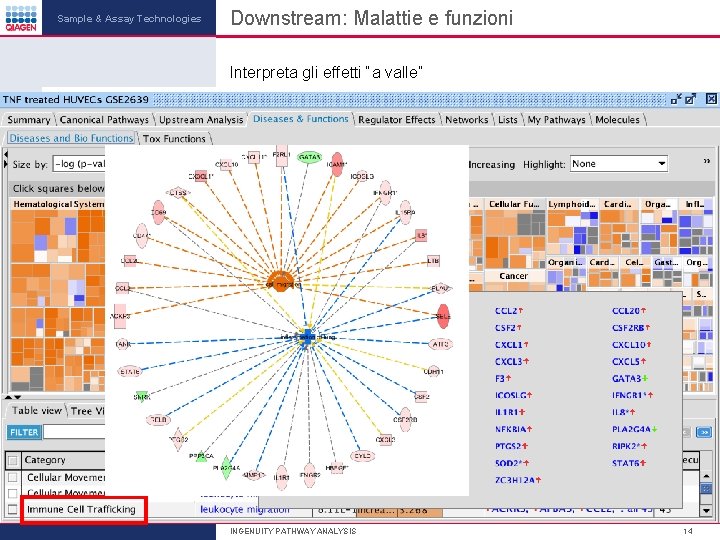 Sample & Assay Technologies Downstream: Malattie e funzioni Interpreta gli effetti “a valle” INGENUITY Sample & Assay Technologies Downstream: Malattie e funzioni Interpreta gli effetti “a valle” INGENUITY