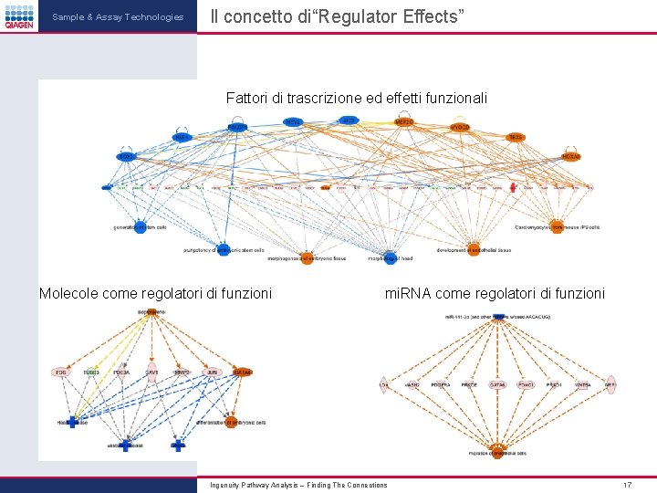 Sample & Assay Technologies Il concetto di“Regulator Effects” Fattori di trascrizione ed effetti funzionali Sample & Assay Technologies Il concetto di“Regulator Effects” Fattori di trascrizione ed effetti funzionali