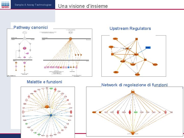 Sample & Assay Technologies Una visione d’insieme Pathway canonici Malattie e funzioni Upstream Regulators Sample & Assay Technologies Una visione d’insieme Pathway canonici Malattie e funzioni Upstream Regulators