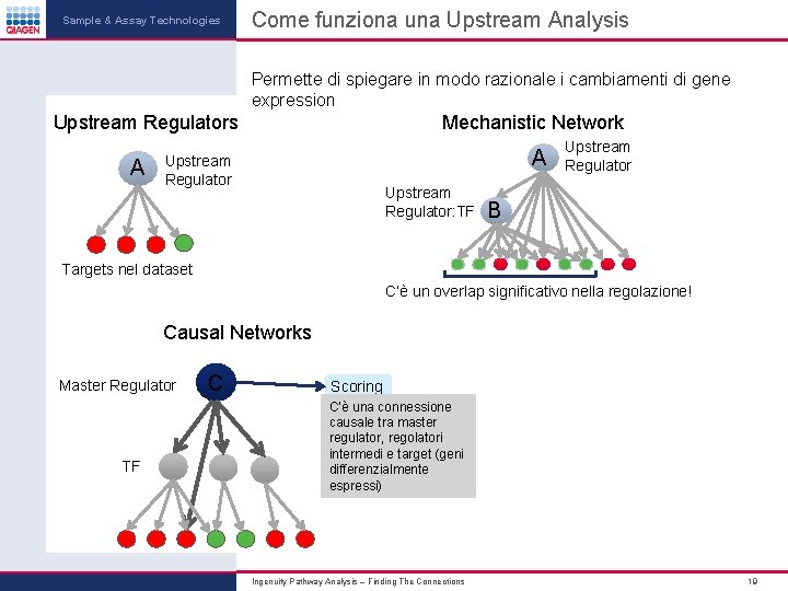 Sample & Assay Technologies Come funziona una Upstream Analysis Permette di spiegare in modo Sample & Assay Technologies Come funziona una Upstream Analysis Permette di spiegare in modo