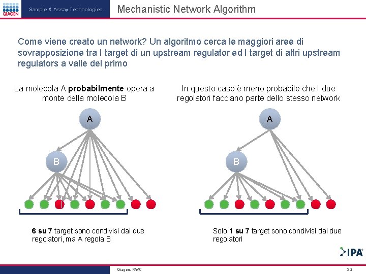 Sample & Assay Technologies Mechanistic Network Algorithm Come viene creato un network? Un algoritmo Sample & Assay Technologies Mechanistic Network Algorithm Come viene creato un network? Un algoritmo