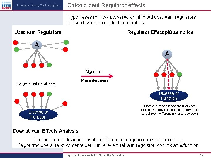 Sample & Assay Technologies Calcolo deui Regulator effects Hypotheses for how activated or inhibited Sample & Assay Technologies Calcolo deui Regulator effects Hypotheses for how activated or inhibited