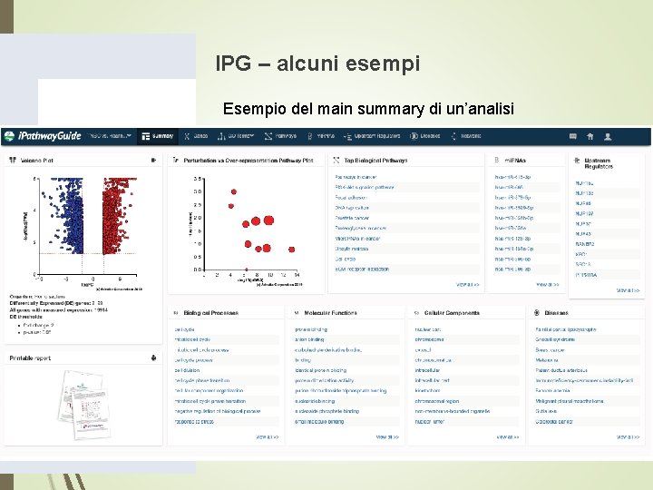 IPG – alcuni esempi Esempio del main summary di un’analisi IPG – alcuni esempi Esempio del main summary di un’analisi