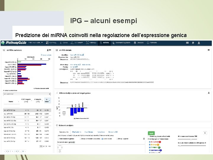 IPG – alcuni esempi Predizione dei mi. RNA coinvolti nella regolazione dell’espressione genica IPG – alcuni esempi Predizione dei mi. RNA coinvolti nella regolazione dell’espressione genica