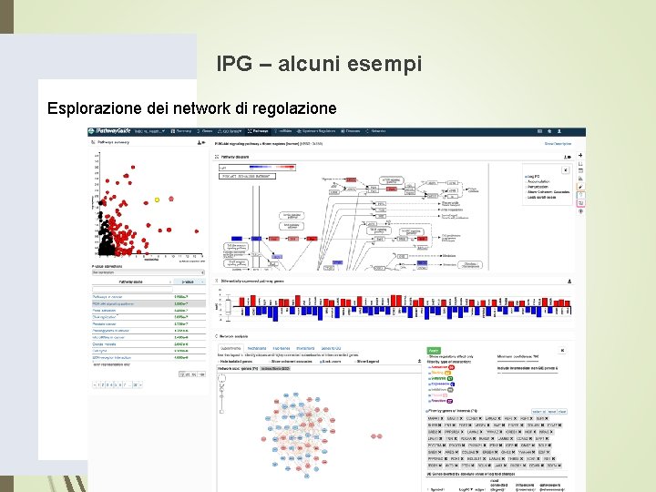 IPG – alcuni esempi Esplorazione dei network di regolazione IPG – alcuni esempi Esplorazione dei network di regolazione