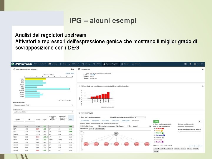 IPG – alcuni esempi Analisi dei regolatori upstream Attivatori e repressori dell’espressione genica che IPG – alcuni esempi Analisi dei regolatori upstream Attivatori e repressori dell’espressione genica che