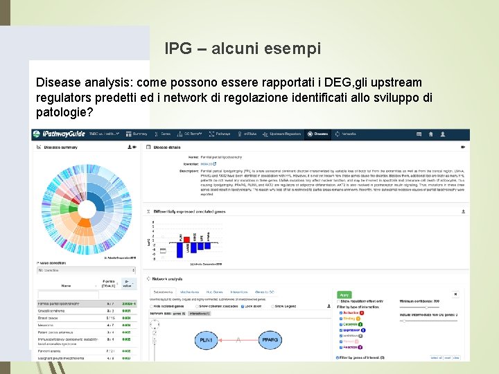 IPG – alcuni esempi Disease analysis: come possono essere rapportati i DEG, gli upstream IPG – alcuni esempi Disease analysis: come possono essere rapportati i DEG, gli upstream