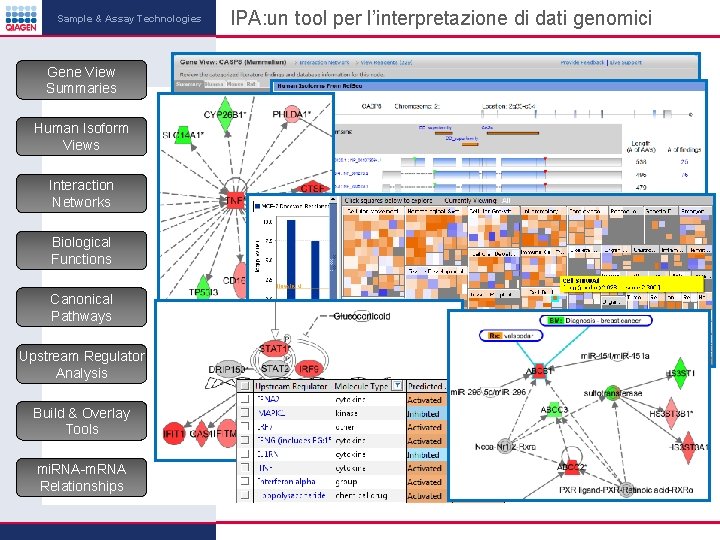 Sample & Assay Technologies Gene View Summaries Human Isoform Views Interaction Networks Biological Functions Sample & Assay Technologies Gene View Summaries Human Isoform Views Interaction Networks Biological Functions