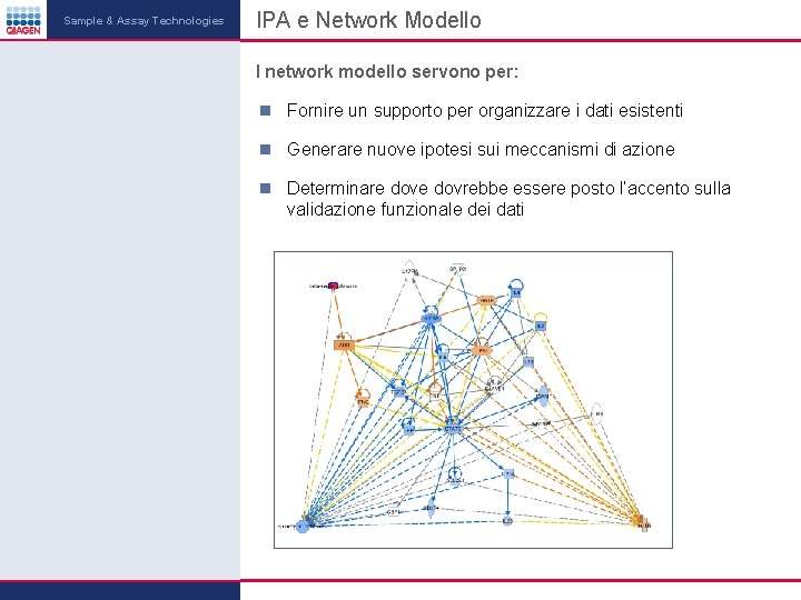 Sample & Assay Technologies IPA e Network Modello I network modello servono per: Fornire Sample & Assay Technologies IPA e Network Modello I network modello servono per: Fornire