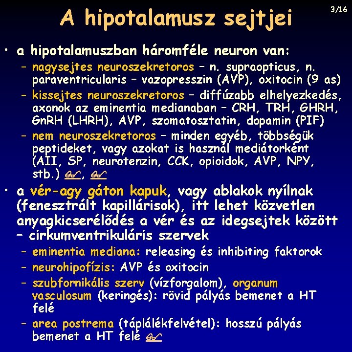 A hipotalamusz sejtjei 3/16 • a hipotalamuszban háromféle neuron van: – nagysejtes neuroszekretoros –