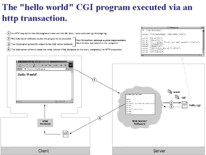 The "hello world" CGI program executed via an http transaction. 