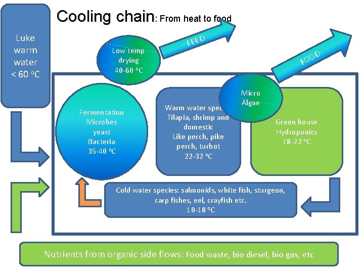 Cooling chain: From heat to food Luke warm water < 60 o. C Low Cooling chain: From heat to food Luke warm water < 60 o. C Low