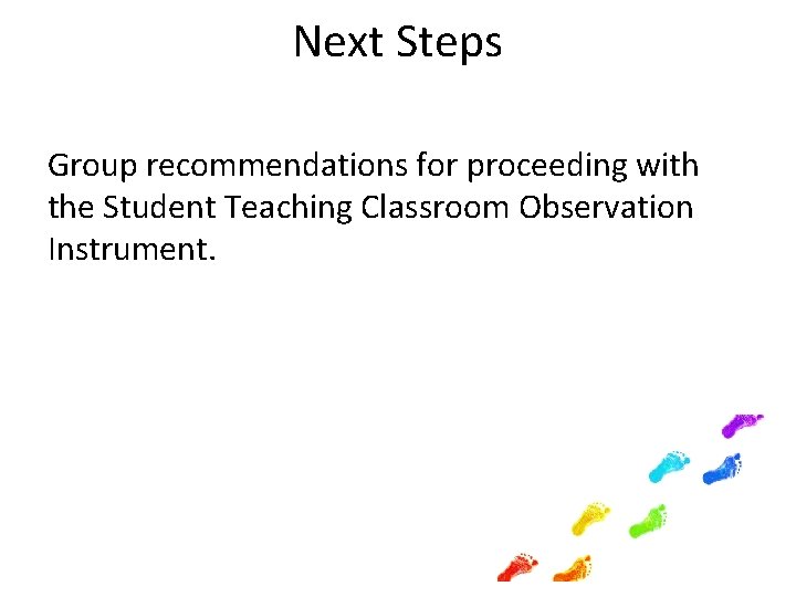 Next Steps Group recommendations for proceeding with the Student Teaching Classroom Observation Instrument. 