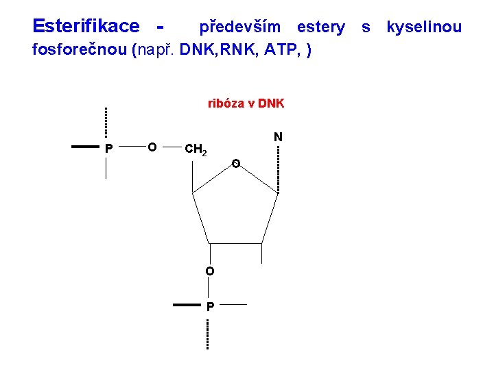 Esterifikace - především estery s kyselinou fosforečnou (např. DNK, RNK, ATP, ) ribóza v